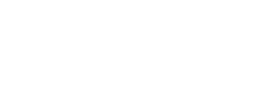 Website Logo White